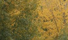 如约而至的冬_800字