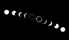 【如约而至】 四季诗_1200字