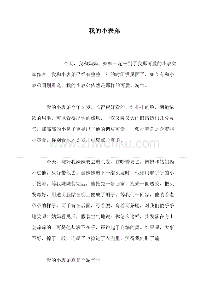 我的堂兄_600字