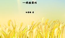 《又是一世晴天》_600字