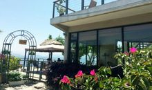 一场梦的旅行_500字