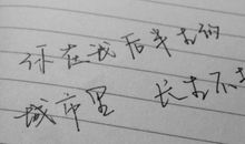 不虚此行_750字