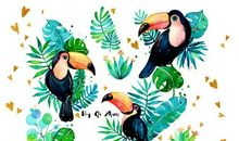 我的朋友麦小格_100字