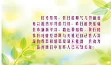 岁月匆匆时光不再_450字