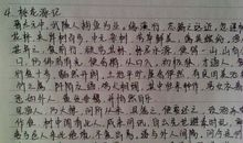 这个人是谁_450字