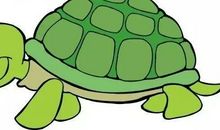 我的小乌龟_750字