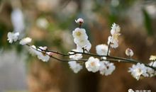 [如约而至]活动 阳光如约而至_1500字