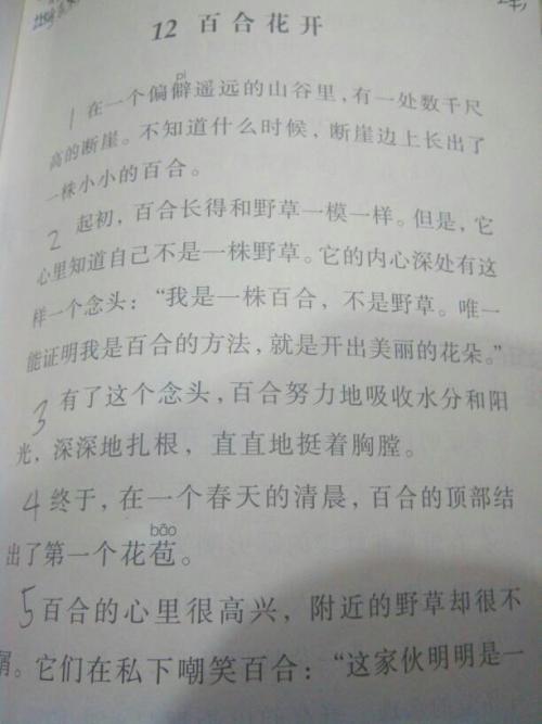 我的偶像_200字