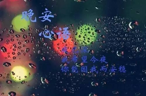 晚安。 _500字