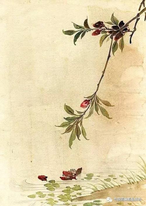 夏季·蝉 - 赤土施工（掠夺）_900字