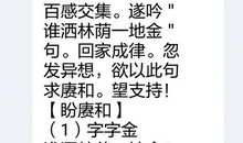 中考，一场金色的梦。_150字