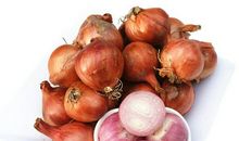 不听话的小洋葱_600字