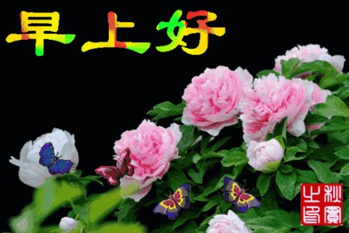 早上_500字