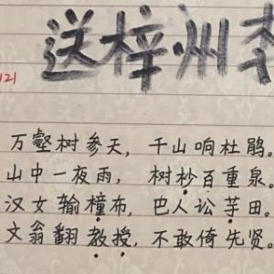 王伟“派株洲李淑军”