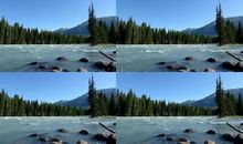 保护河水_1200字