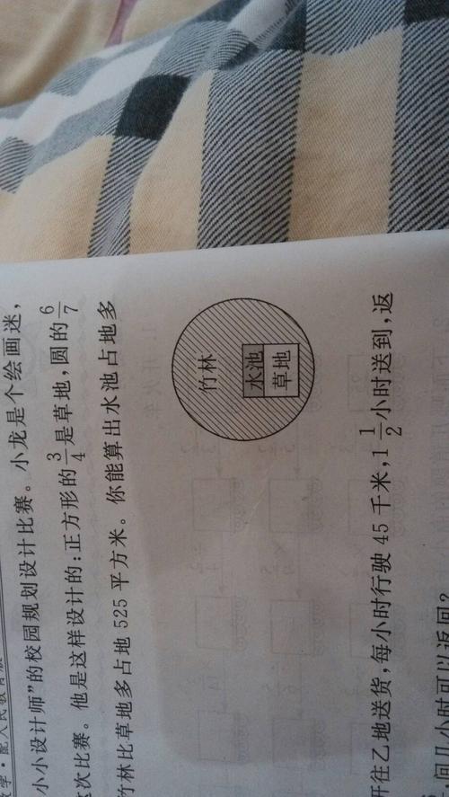我是一个小设计师_450字