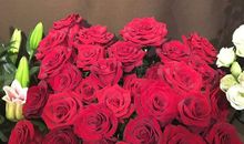 [畅想七夕]红玫瑰_2000字