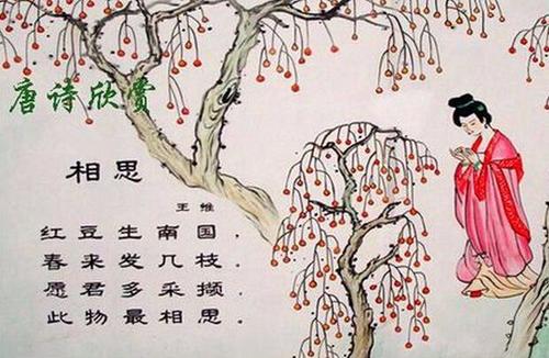 王伟“金合欢”