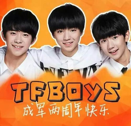 与TFBOYS的生活（简介）_250字