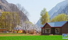 多姿多彩的春_450字