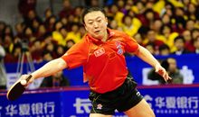 我喜爱的乒乓球动员-马琳_600字