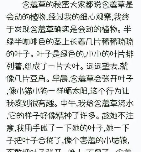 赫尔德秘密_350字
