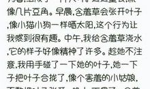 自己的秘密_350字