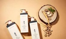 小蜜蜂佳佳_650字