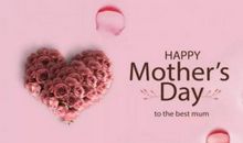 母亲节给母亲的一封信_450字