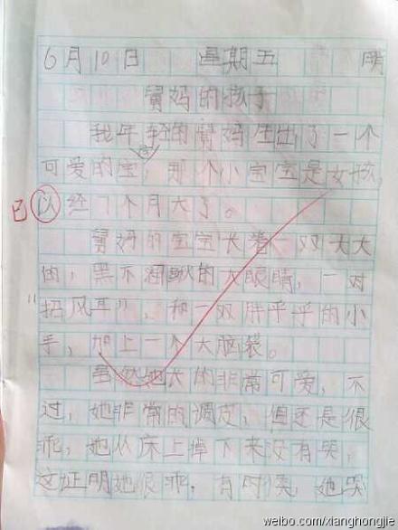 一个顽皮的人_550字