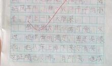 一个顽皮的人_550字