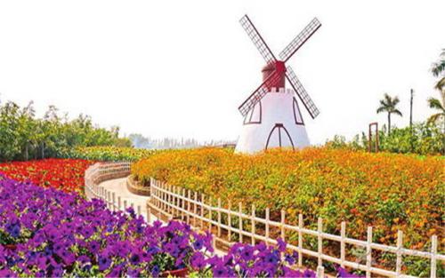 百万向日葵花园_400字