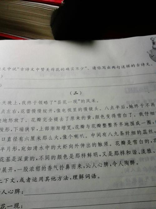 寻找春天（2）_400字