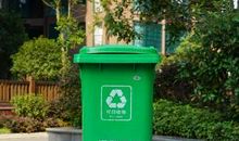 垃圾筒里长了一棵树_300字