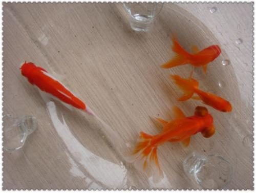 可爱的小金鱼_750字