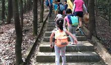 我爱家乡的凤凰山_500字