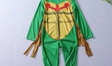 小乌龟的圣诞夜_350字