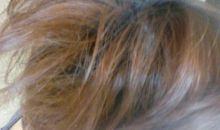 头发带来的麻烦_550字