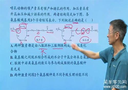 我们的信息老师_550字