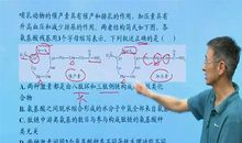 我们的信息老师_550字