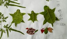 [原创达人]多姿多彩的秋天_450字