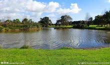 《我不期望回报》续写_150字