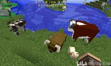 MINECRAFT历险记 （2：遇难者）_550字