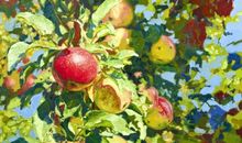 果实累累的秋天_200字