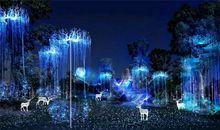 森林镇系列童话—挫折的滋味_700字