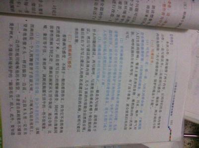 [原始达人] Summer_300字
