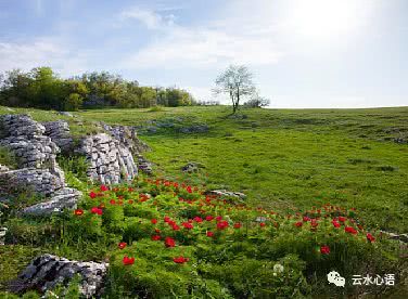 [原才] DRAM和孤独。 _750字