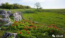 [原创达人]凄凉寂寞又惆怅。_750字