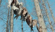 回忆的痕迹_750字