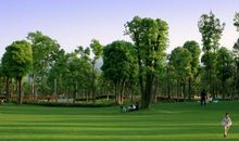 未来的公园_450字